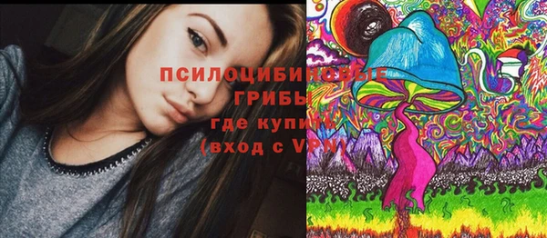 ECSTASY Алексин