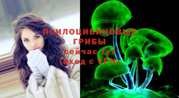 ECSTASY Алексин